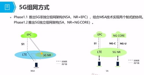 5G培訓(xùn)應(yīng)用篇一 5G概述、發(fā)展與演進(jìn)及人體干細(xì)胞技術(shù)的開(kāi)發(fā)與應(yīng)用